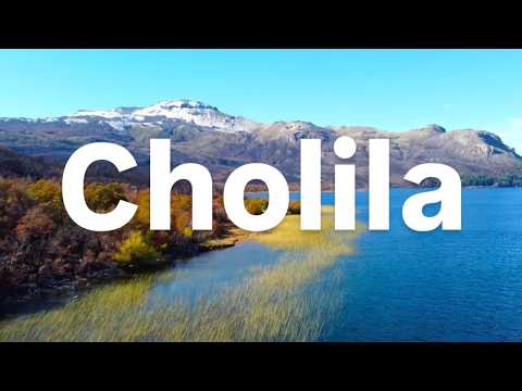 Cholila, el pueblo de los bandidos! Así quedó el Parque Nacional Los Alerces tras el incendio.