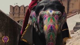 preview picture of video 'Amber Fort - Shanti Travel'