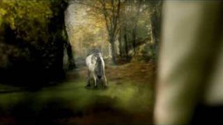 Free Audio Books Online Helena 2-3 [fantasy story]