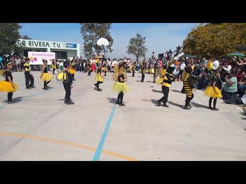 Bailable del día de la primavera 🌻🌻🌻
