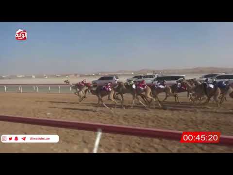  ش 24 (تعزيز) لـ محمد سعيد راشد بن جوعان الشامسي 1:45 , شارة الصندوق 2026/2/14 فطامين الروضة