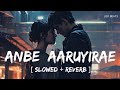 Anbe Aaruyirae Slowed Reverb Prashan Sean Feat NavinRaaj Mathavan Lofi Beats