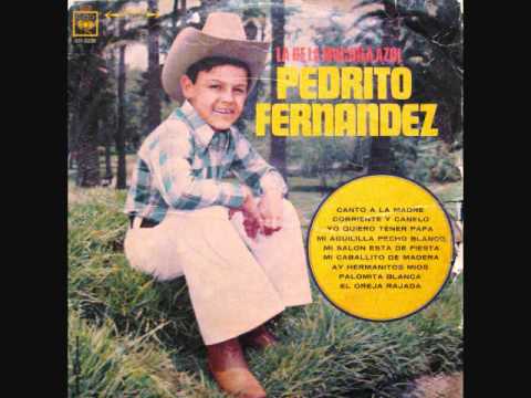 PEDRITO FERNANDEZ ~ CANTO A LA MADRE (vinyl)