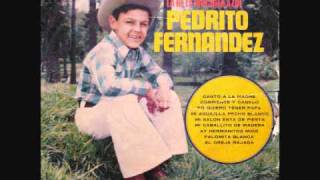 PEDRITO FERNANDEZ ~ CANTO A LA MADRE (vinyl)