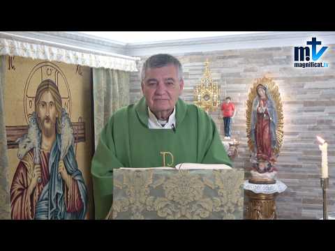 "Ama Mucho Porque te Han Perdonado Mucho" | Homilía, Jueves, XXIV Semana del Tiempo Ordinario (17-09-2026) | P. Santiago Martín, FM
