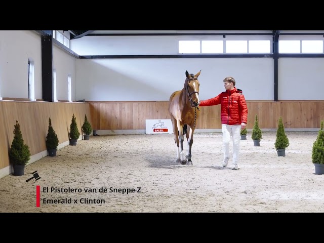 El Pistolero van de Sneppe Z