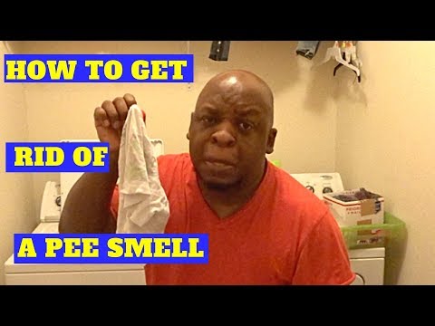 image-How do you get urine smell out of clothes?