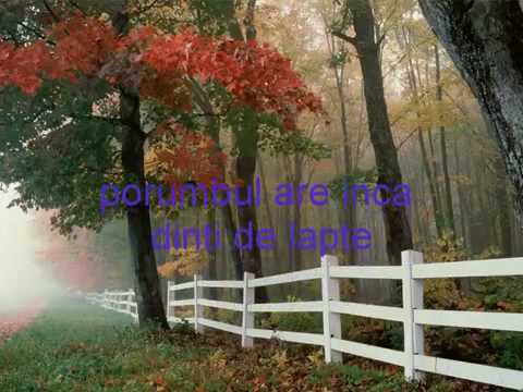 Tatiana Stepa-Si totusi vine toamna.