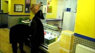 preview picture of video 'Pantomime Horse Visits Brotton Pizza Shop'