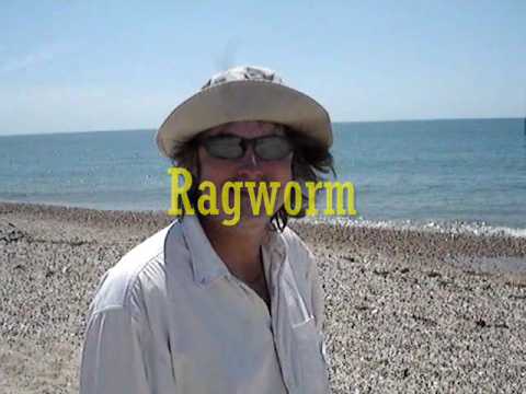 Top tips for the sea angler - Ragworm