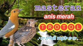 Download lagu Masteran anis merah trotol full mp3 mp3 Download lagu Masteran anis merah trotol full mp3 mp3