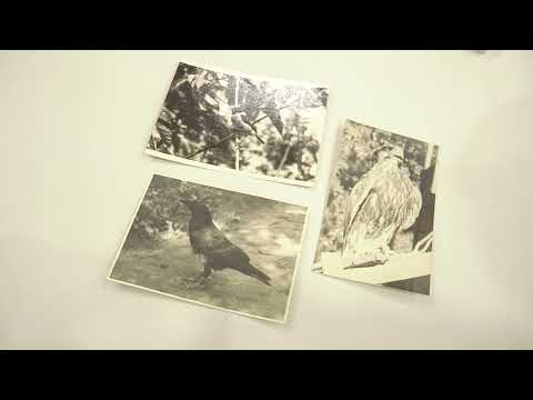 105 років від дня народження Бориса Голова