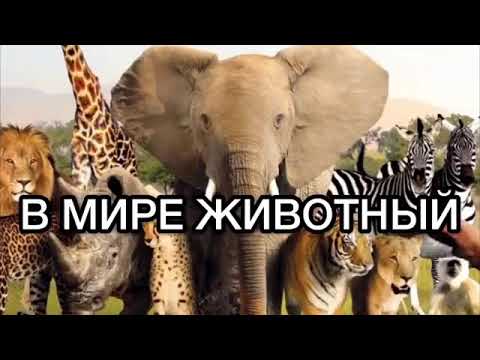 Новая озвучка в мире животных 2 от Джавида