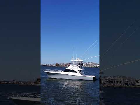 Viking 46 Billfish video