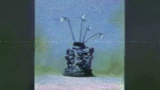 The Caretaker - Quiet Dusk Coming Early (Sadder and Scarier Remix)