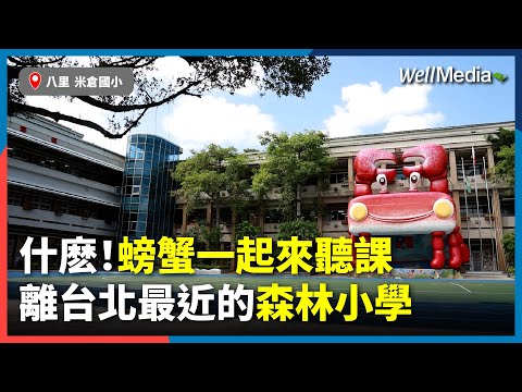 什麼！跟螃蟹一起聽課？離台北最近的森林小學 米倉國小拚永久綠旗！【Well Talk】