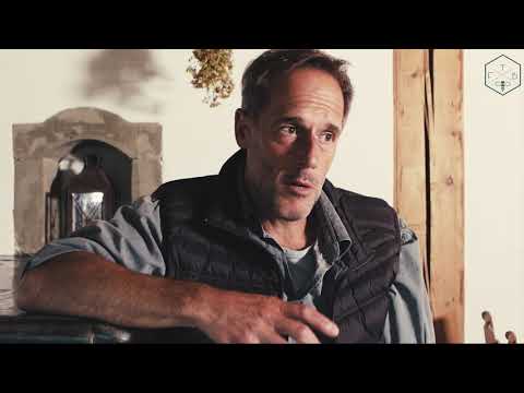 Ziele und Aufgaben von FREETHEBEES