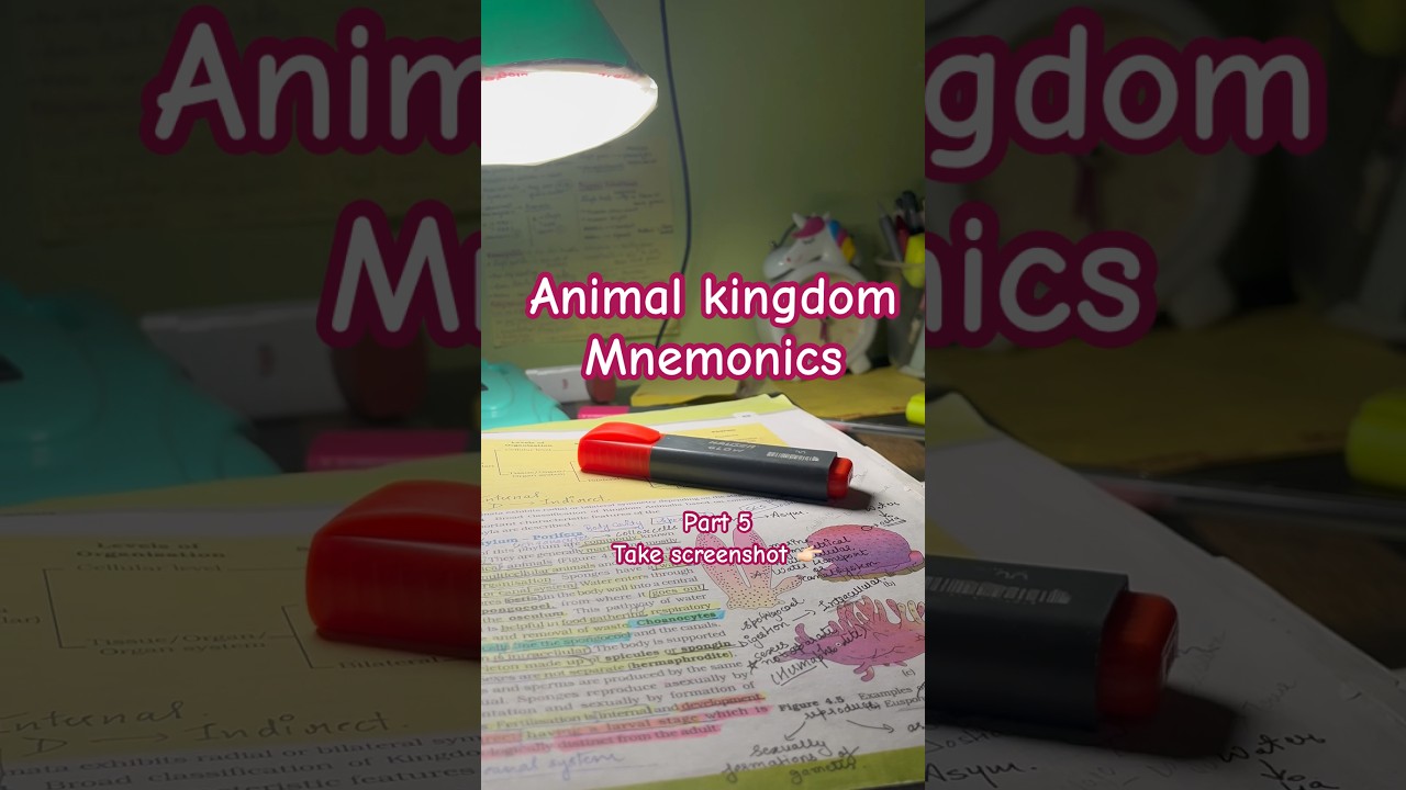 Animal kingdom mnemonics #neet2024 #neet2025 #neetbiology #neetncertbiology #neetpreparation #neet