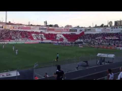 Ponte Macaca Querida