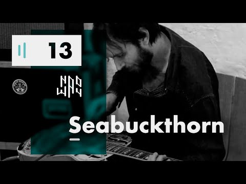 Seabuckthorn - Naoway Sessions