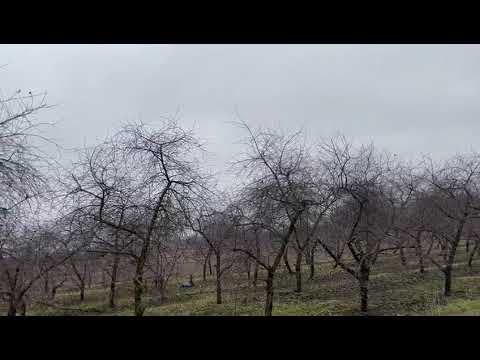 Trasa główna 5+200