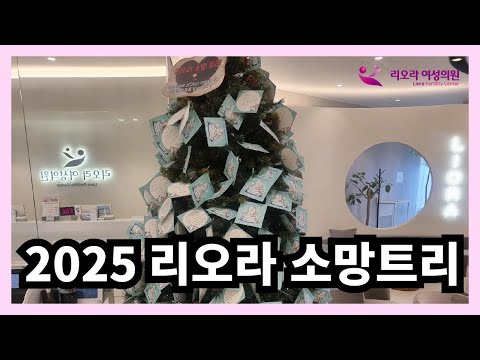 2025 소망트리 이벤트