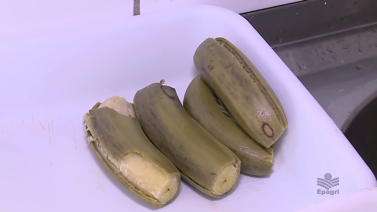 Biomassa de banana verde!