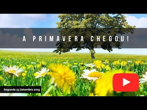 A Primavera Chegou video