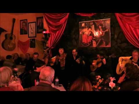 Telma Pereira - "Saudades de Júlia Mendes"