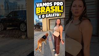 VAMOS VOLTAR PRO BRASIL… E O GALETO VAI JUNTO?