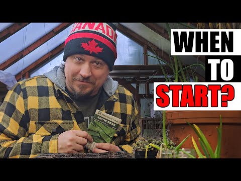 When To Start Your Garden