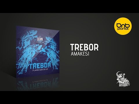 Trebor - Amakesi [Future Sickness Records]