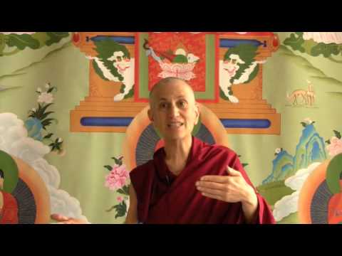 110 Stages of the Path: The Second Noble Truth Pt.17 (afflictive views - intelligence) 04-06-10