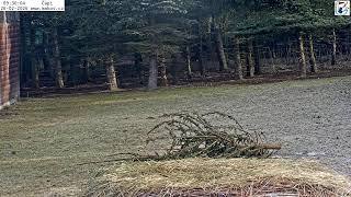 Animal Rescue Station Makov