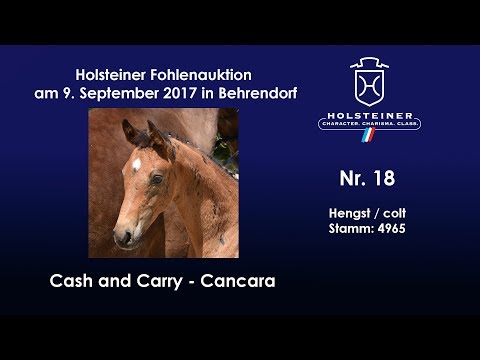 Nr. 18 v. Cash and Carry - Cancara