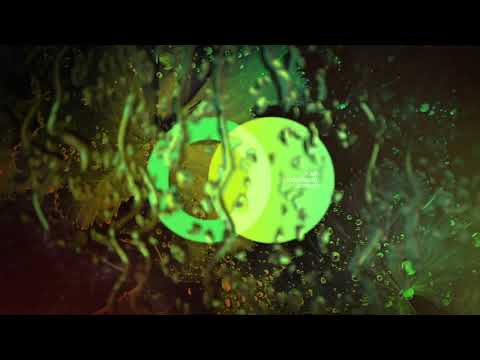 Wabe - Perfect Circle (Original Mix) // [AVE004] // Melodic Techno