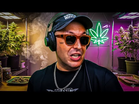 VAMOS FALAR DA ERVA 🍁