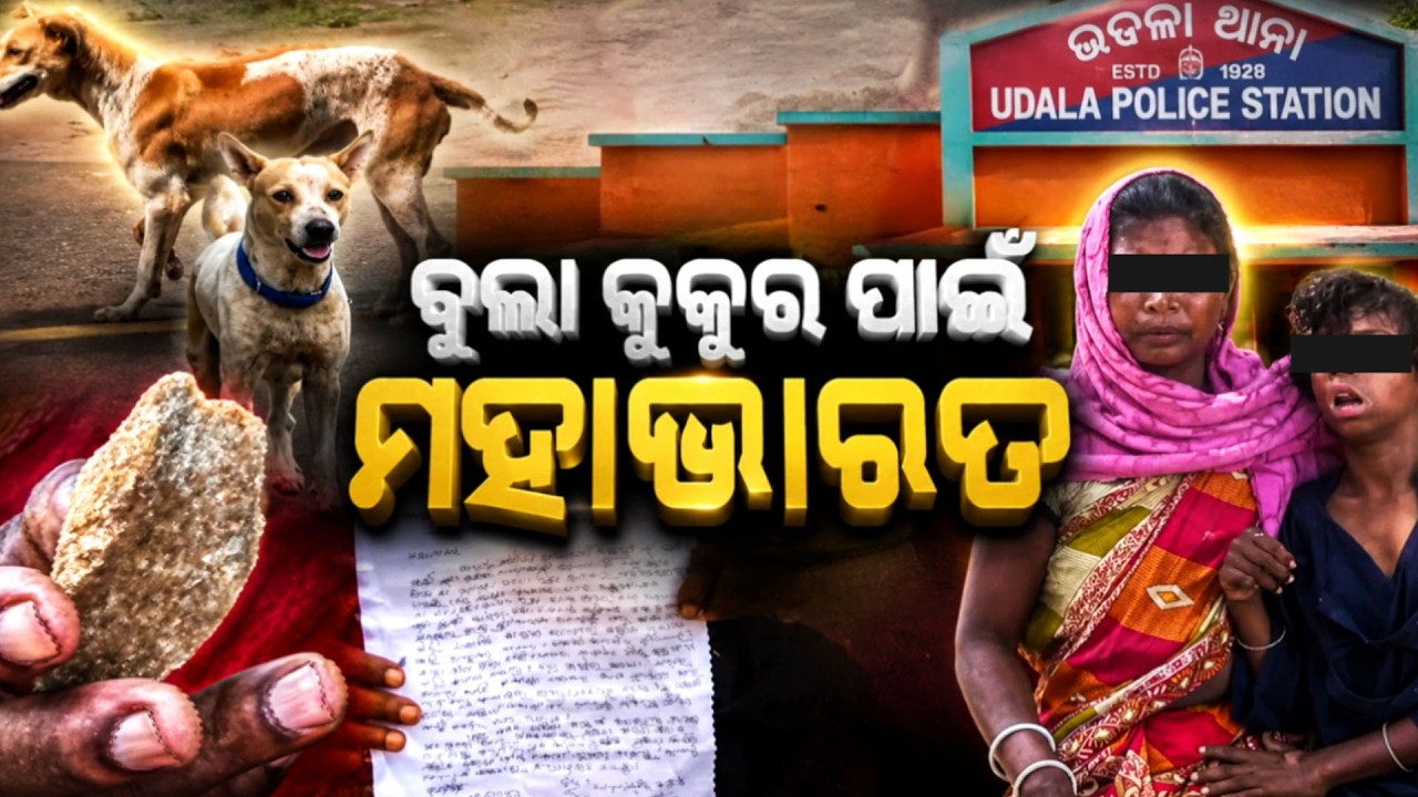 🔴 Live | ବୁଲା କୁକୁର ପାଇଁ ମହାଭାରତ