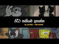 රෑට තනියම අහන්න Slowed Reverb Sinhala Song Collection