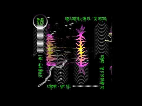 Benji303 - This is The Roland 303 [6T6002]