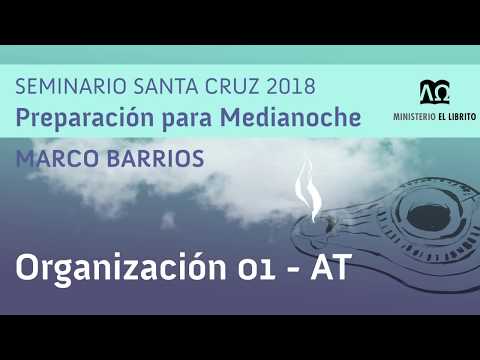Marco Barrios | Organización 01 - AT
