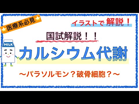 ツルゴモルフ科について詳しく解説