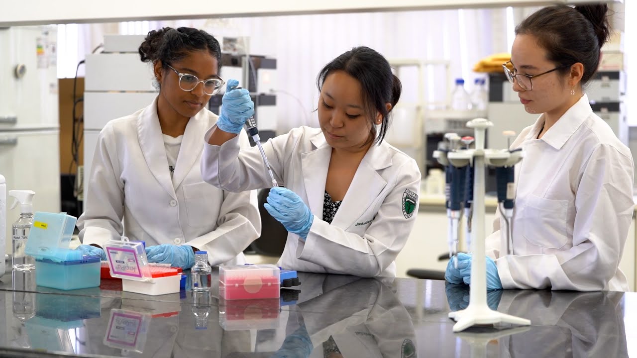 Novo soro antiveneno de jararaca foi três vezes mais eficiente do que o padrão