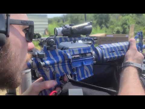 Colt AR 5.56 in Blue Tiger Stripe