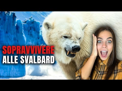 Com’è Vivere nella terra degli Orsi Polari?