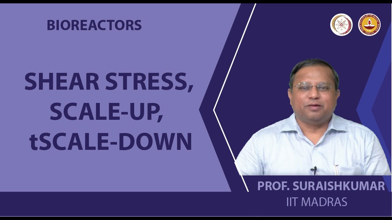 Shear Stress, Scale-Up, Scale-Down