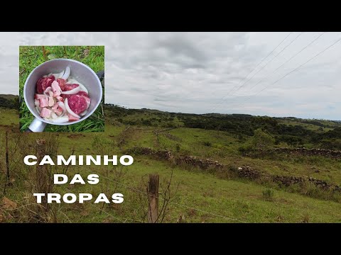 AS MOCHILAS COMEÇARAM A PESAR - TRAVESSIA PELA SERRA CATARINENSE - DE PAINEL A BOCAINA DO SUL - EP02