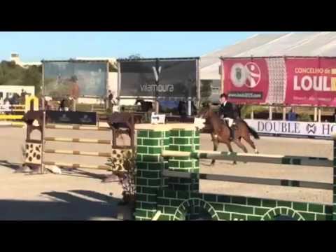 Ben Nevis, 2005 born gelding by Balou du Rouet X Silvio 1 in Vilamoura  4.week 2016 Ranking Class