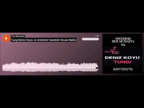 Tony Berdnatzy - Tung Deniz Koyu vs Antidote Swedish House Mafia
