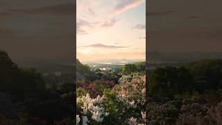 Download lagu Places on earth that don’t feel real😱 #usa mp3 Download lagu Places on earth that don’t feel real😱 #usa mp3